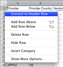 ConvertToHeaderRow.png
